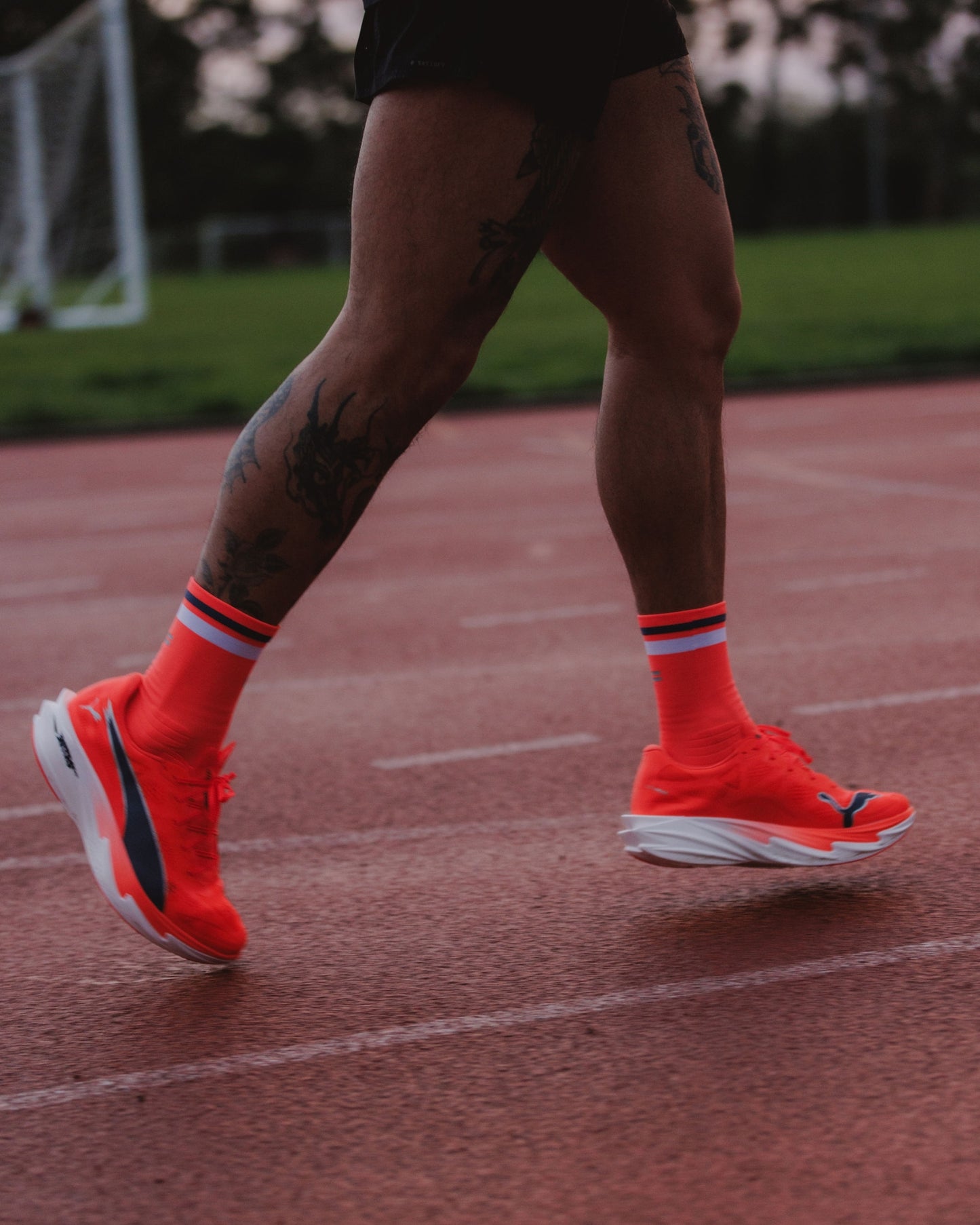 SHYU racing socks - poppy | white | pencil