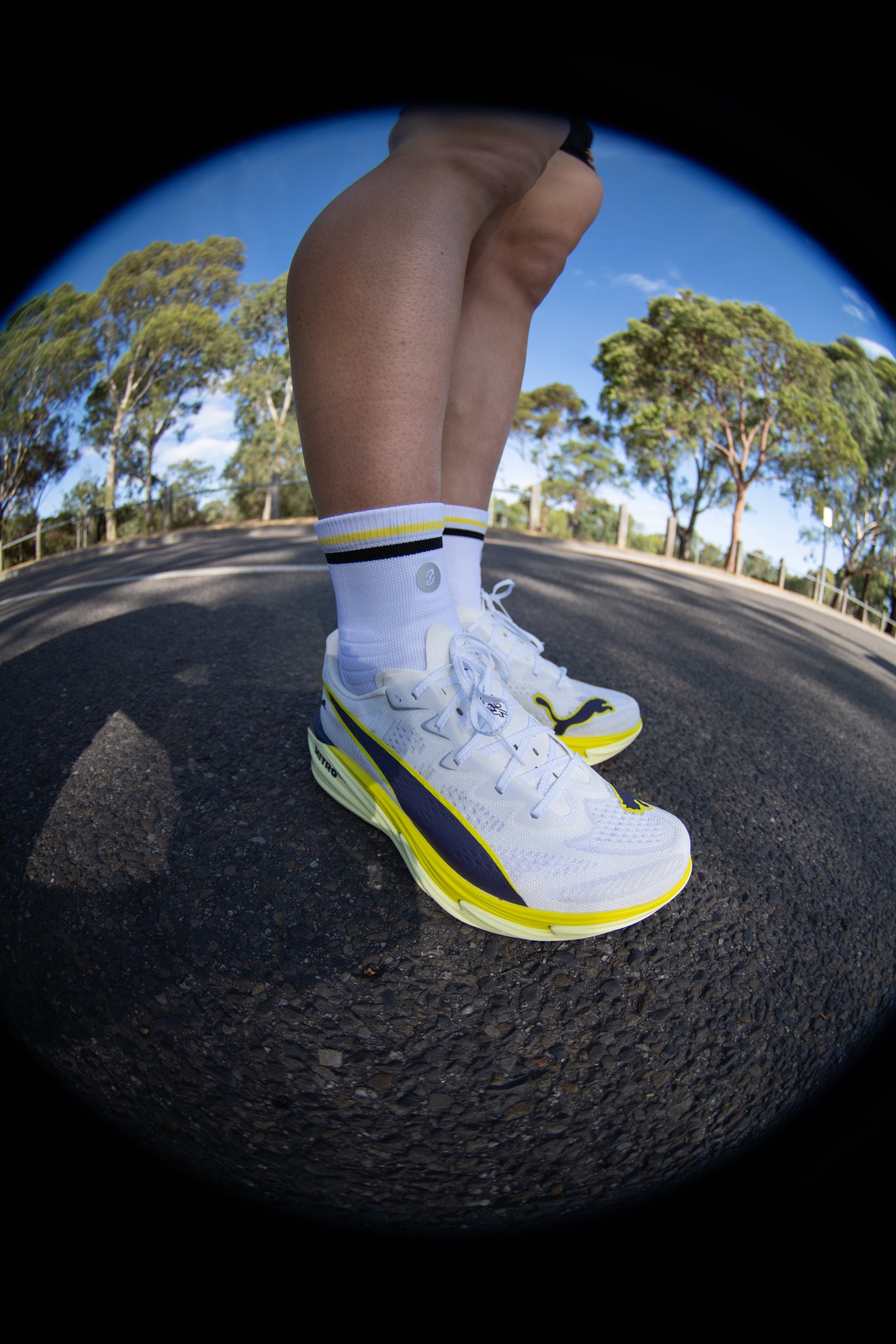 SHYU racing socks - white | black | honey